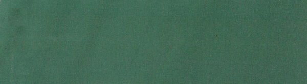 G+系列6309 100%Solution Dyed polyester fabric