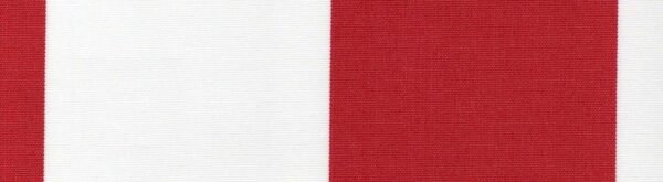 G+系列6309 100%Solution Dyed polyester fabric