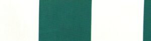 G+系列6207 100%Solution Dyed polyester fabric