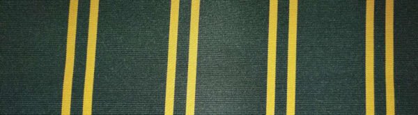 G+系列6309 100%Solution Dyed polyester fabric