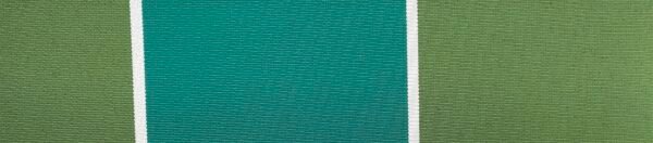 G+系列6309 100%Solution Dyed polyester fabric
