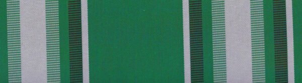 G+系列6309 100%Solution Dyed polyester fabric