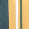 G+系列6309 100%Solution Dyed polyester fabric